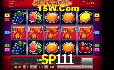 Sistemas de Segurança SP111